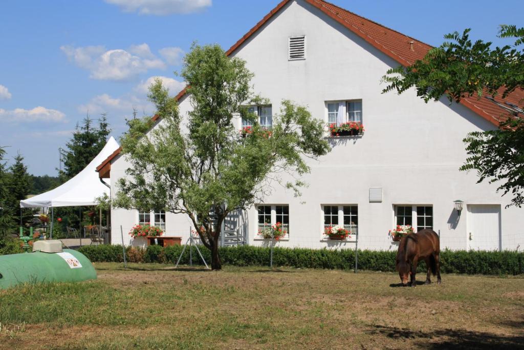 Hotel-Pension Am Mühlberg Lübbenau Habitación foto